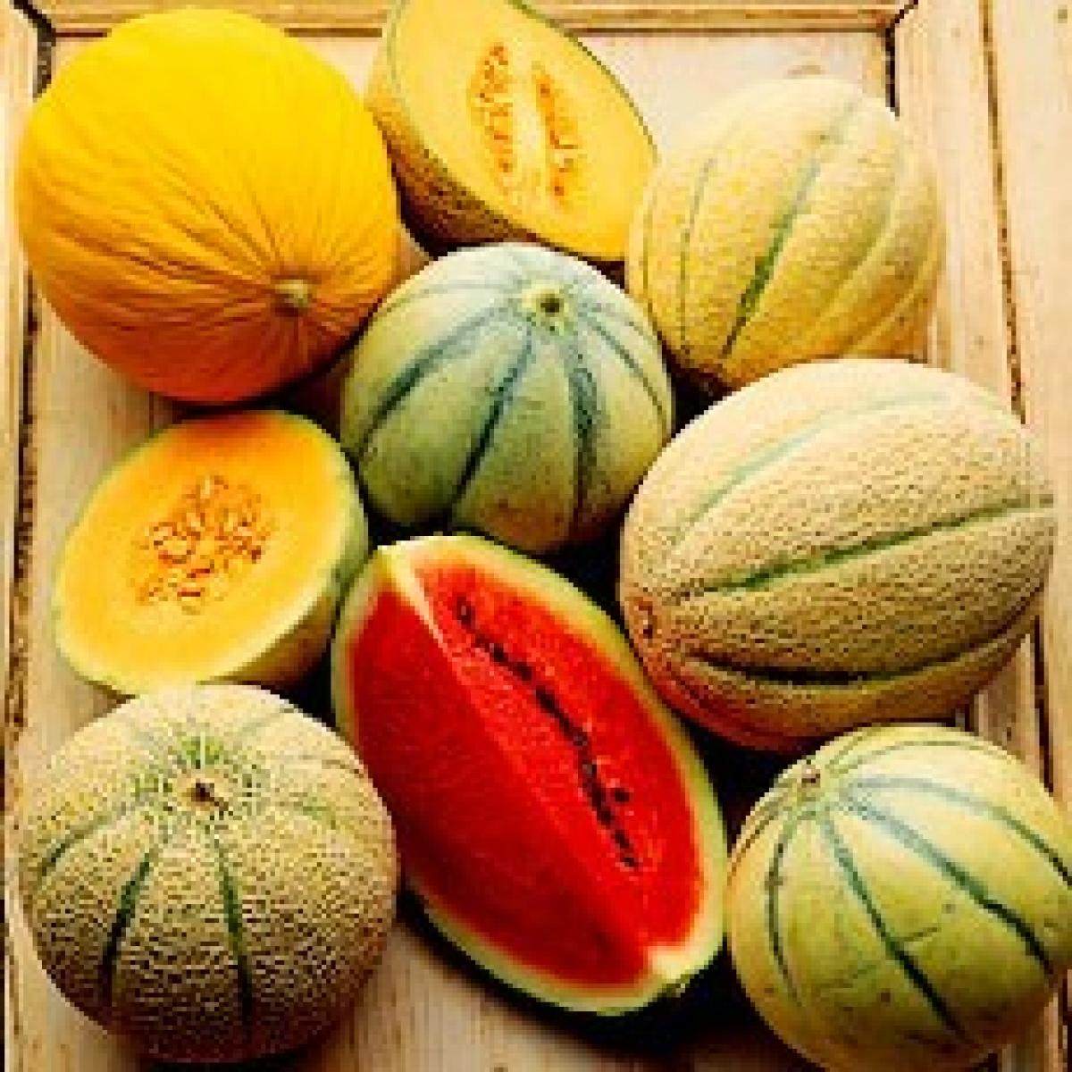 Melons Ingredients Delia Online