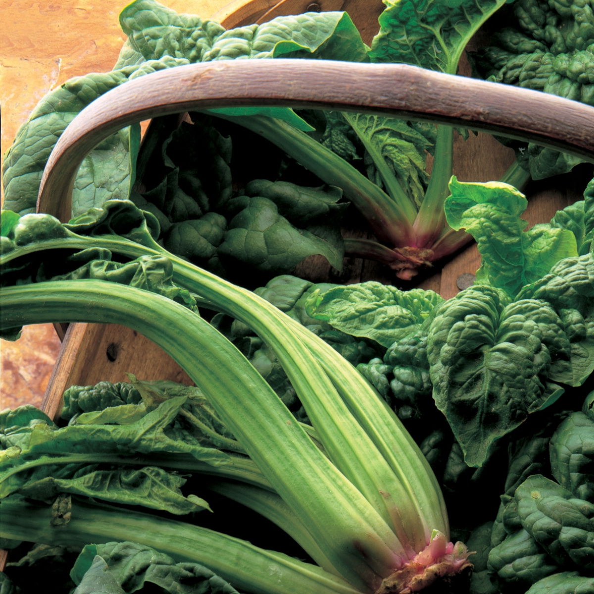 Ingredient soup spinach