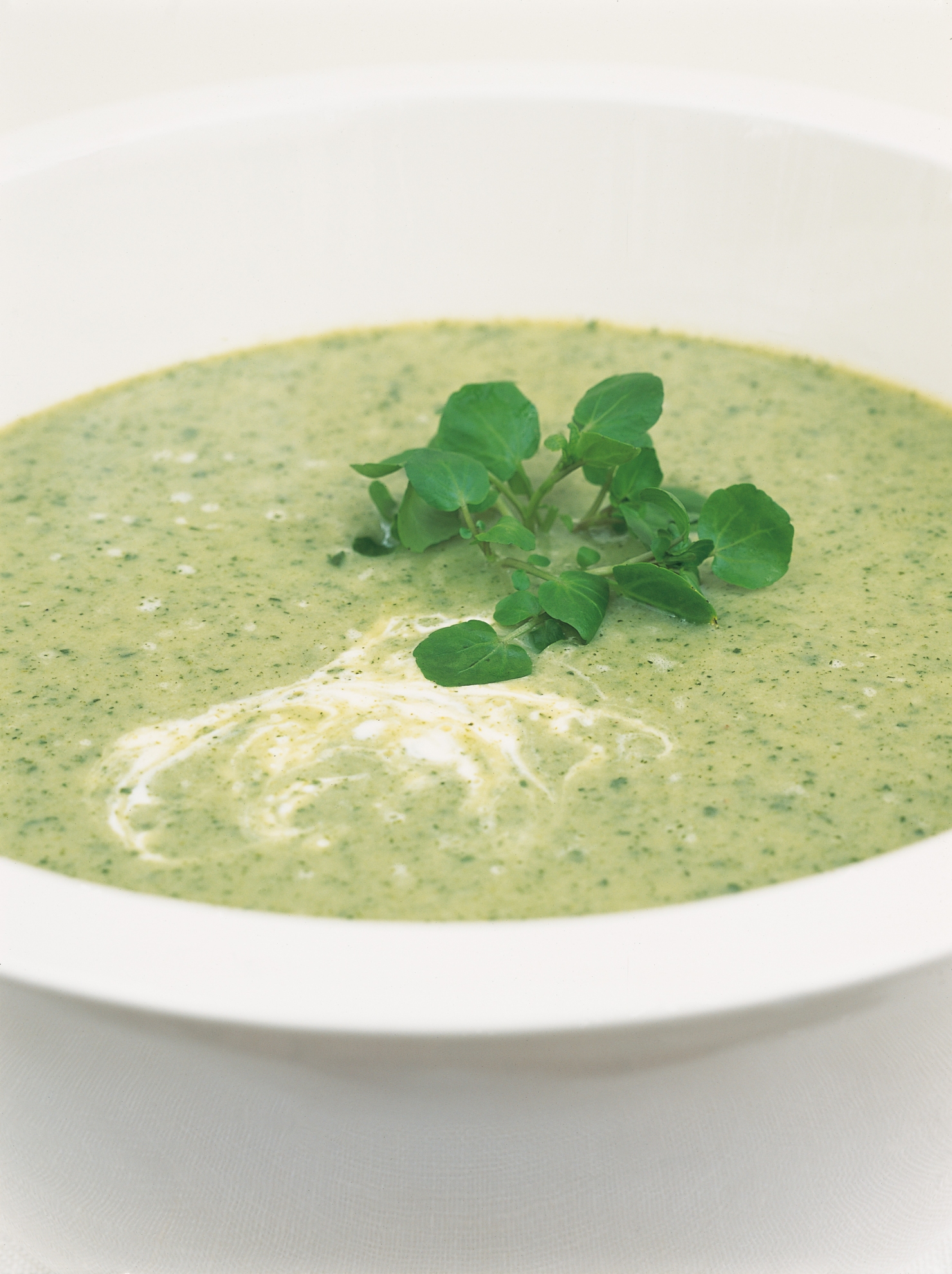 Watercress and Buttermilk Vichyssoise | Recipes | Delia Online