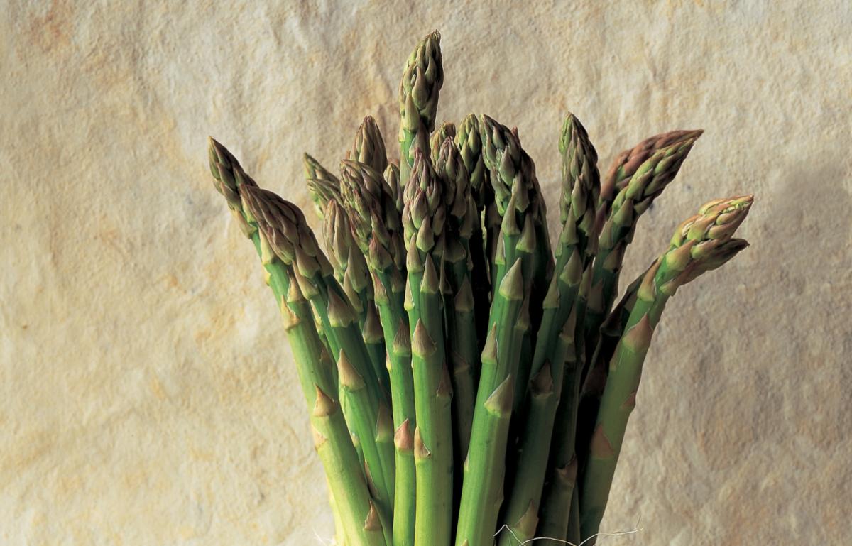 A picture of Delia&#039;s Asparagus ingredient