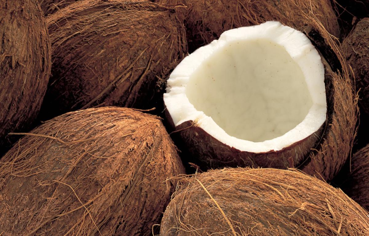 Кокос это ягода или орех. Рис, кокосовый орех, орех капсу. Кокосовый орех фото и поделки из него.
