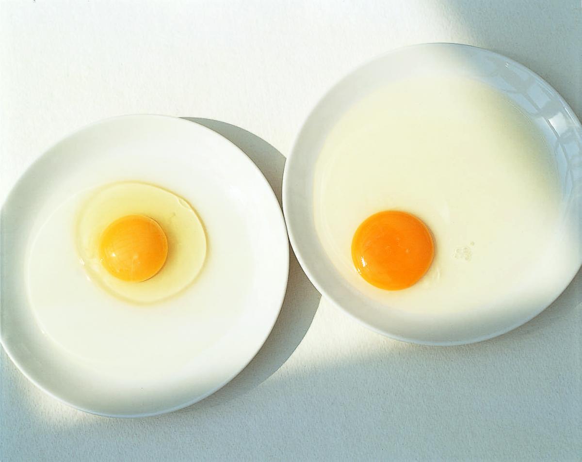 Почему яйца жидкие. Желток куриного яйца. Яичный белок. Белок яйца. Яичные белки.