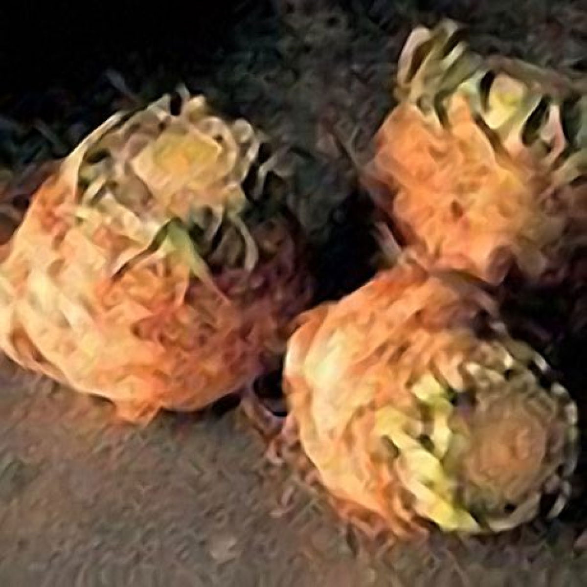 Celeriac 100