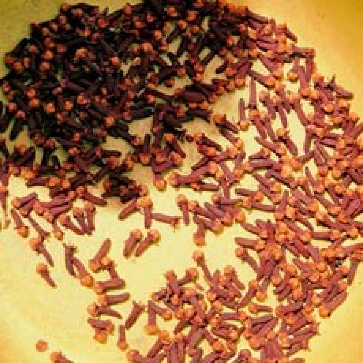 Cloves1 19433