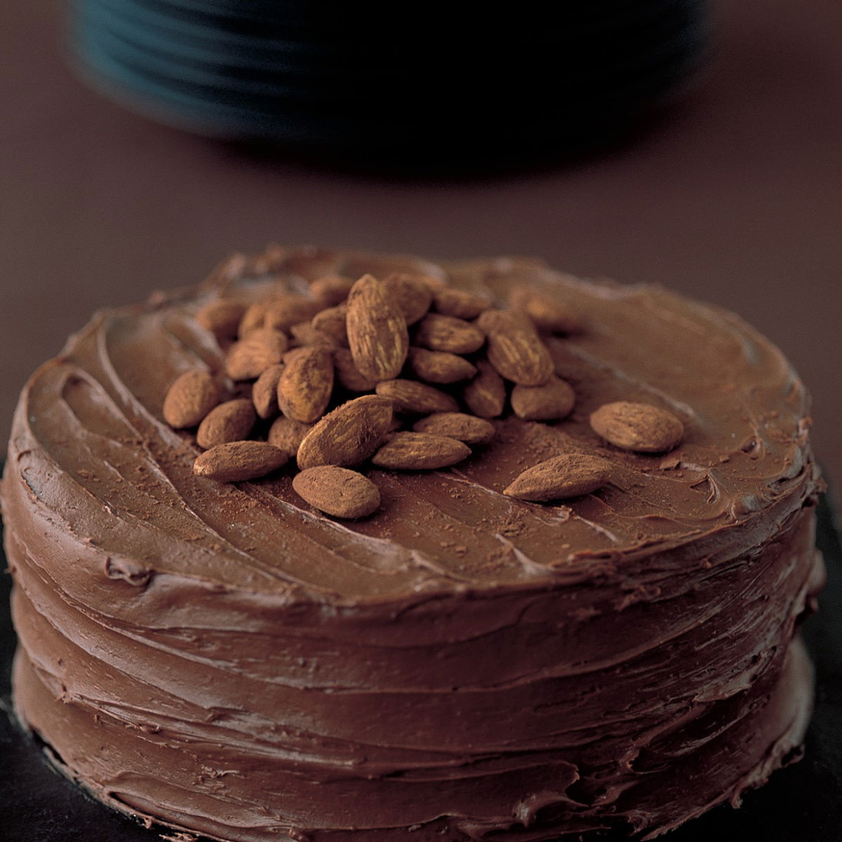 Chocolate chocolate fudge cake