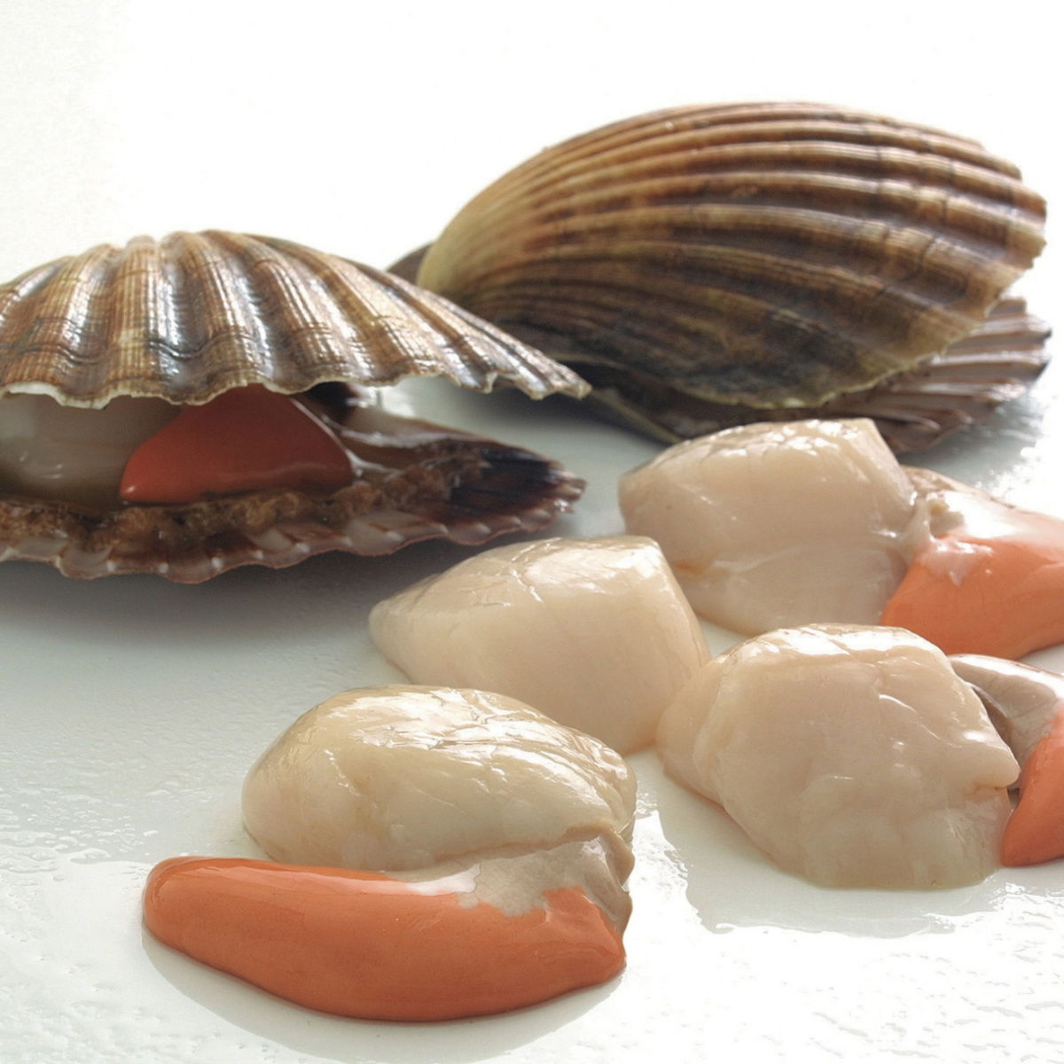 Ingredient fish scallops