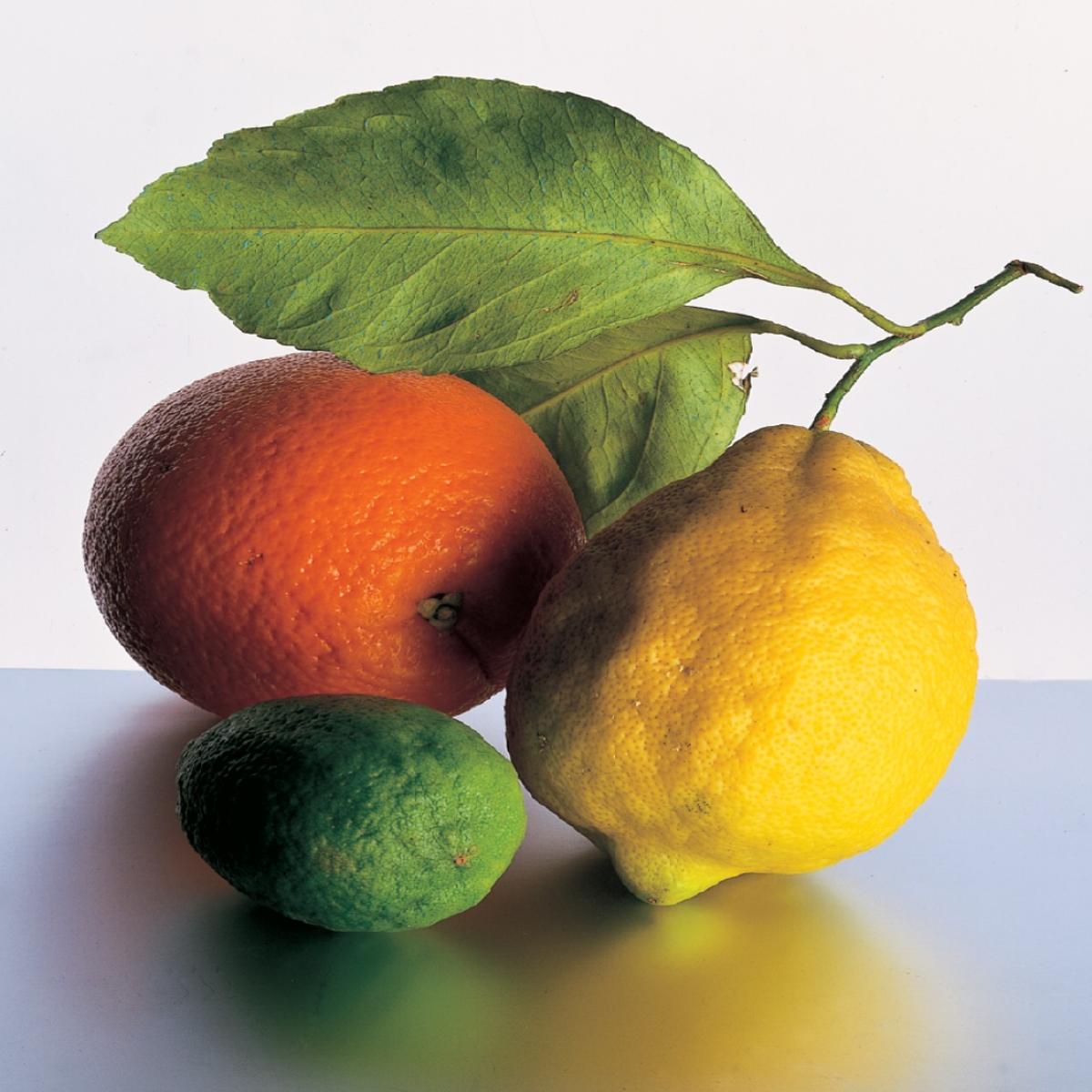 A picture of Lemons, limes and oranges