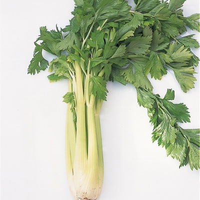 A picture of Delia's Cream of Celery Soup recipe